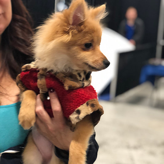 ALMOST GONE - Furry Valentino Calming Fleece Jacket - Polartec® Thermal Pro® - Lynx