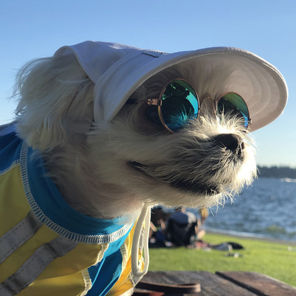 Cooling Dog Hat with UPF50+ - White Sand