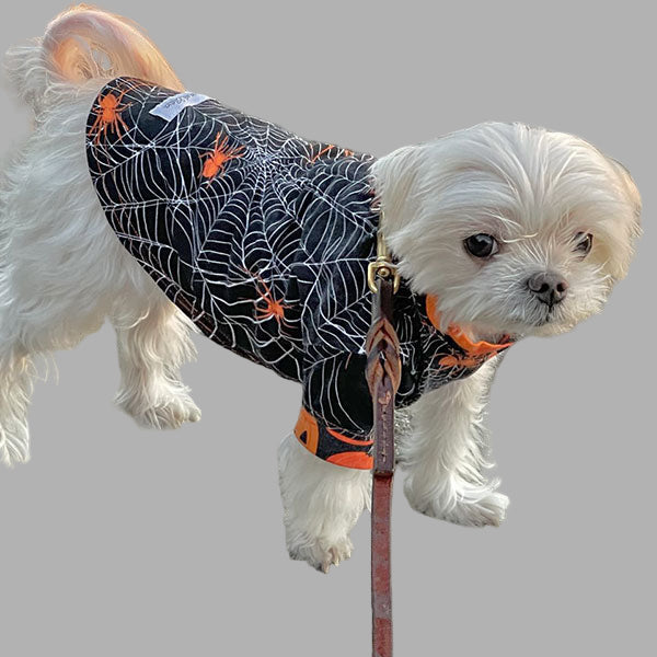 Handmade Cotton Shirts - Spider