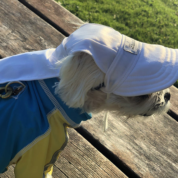 Cooling Dog Hat with UPF50+ - White Sand