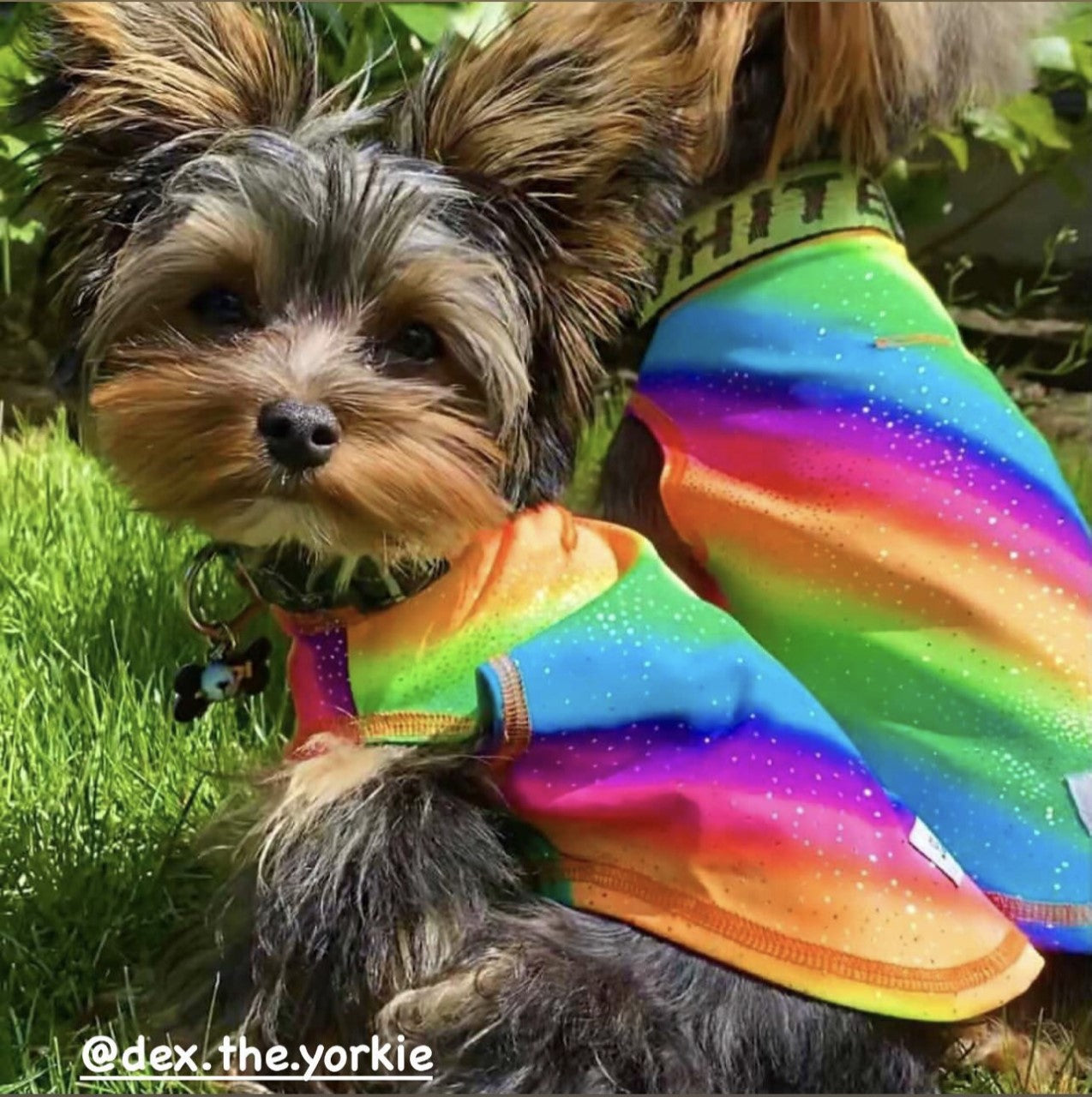 Calming Sleeveless Cooling Sun Tee UPF 50+ Rainbow Sparkle