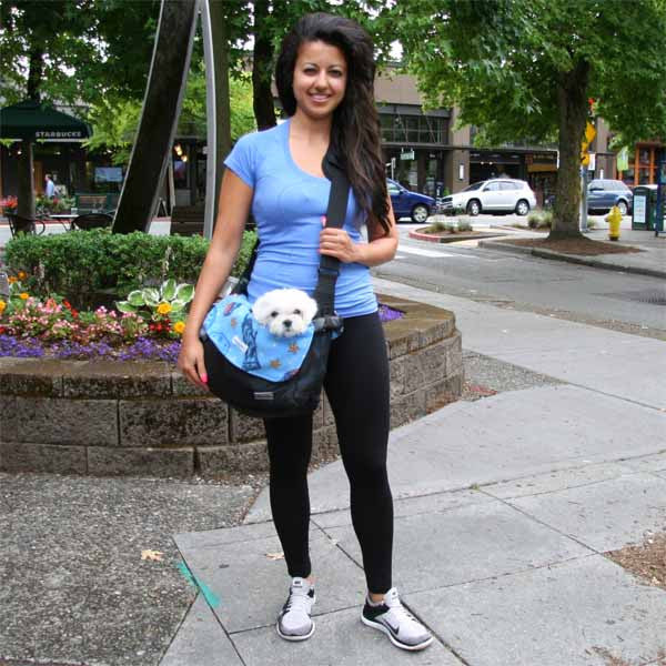 American Beauty small dog carrier liner blanket model