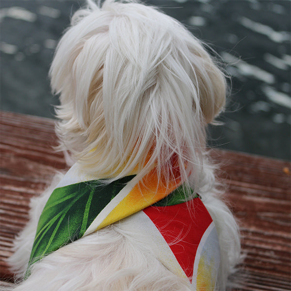 Cooling Neck Tie – Red Tropic