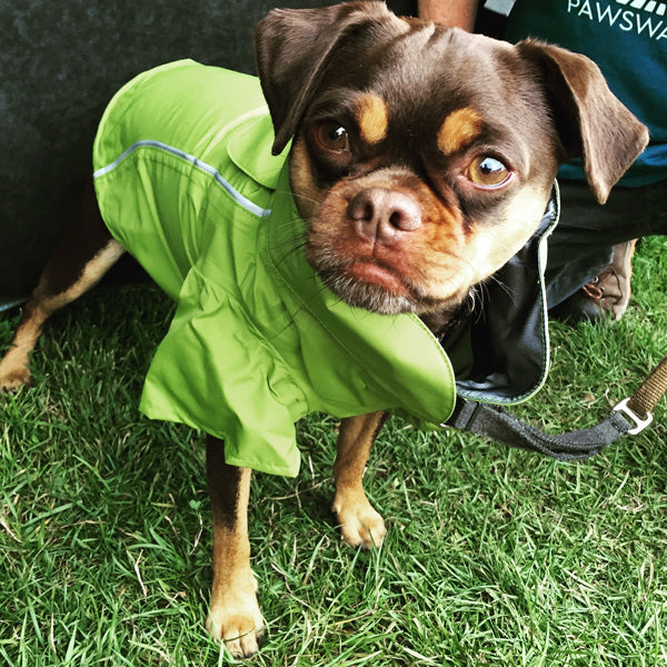 Limited-Edition Ultimate Pacific Northwest Rain Jacket - 3M® reflective