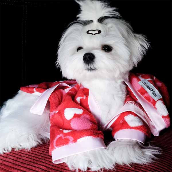 ALMOST GONE - Sweetheart Handmade Ultra Plush Fleece Robe