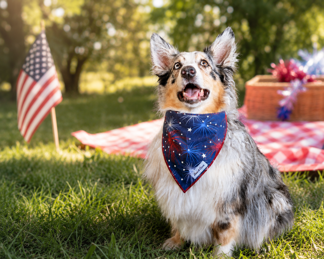 4th of July Pet Safety Guide: How to Keep Your Dog or Cat Safe During Fireworks, BBQs, Summer Heat & Outdoor Celebrations