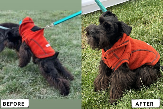 The Calming Power of Comfort: How Louie de Coton Helped One Hyper Puppy Find Her Chill