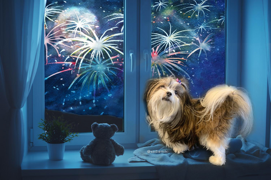 10 Recommendations to Celebrate New Year’s Safely with Your Pets