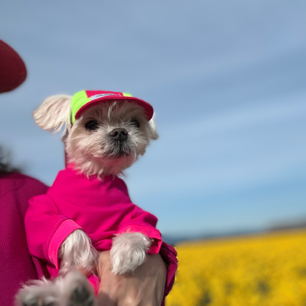 Calming Cooling UPF 50+ Sun Onesie - Orchid