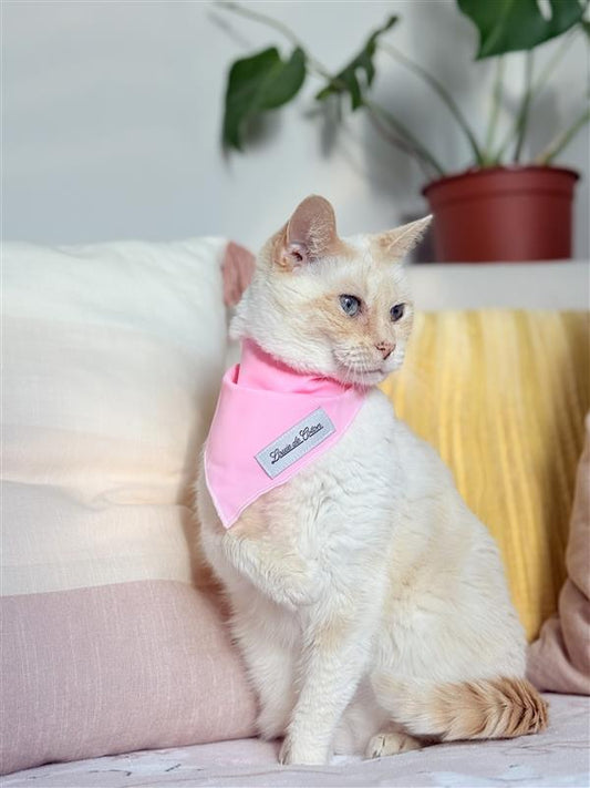 Cat Pink Bandana