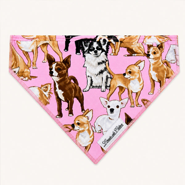 Pooch Pop Art – Chihuahua Dog Bandana