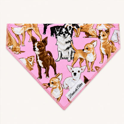 Pooch Pop Art – Chihuahua Dog Bandana