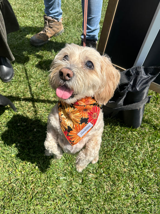 Halloween Bandana – Spooky Blooms