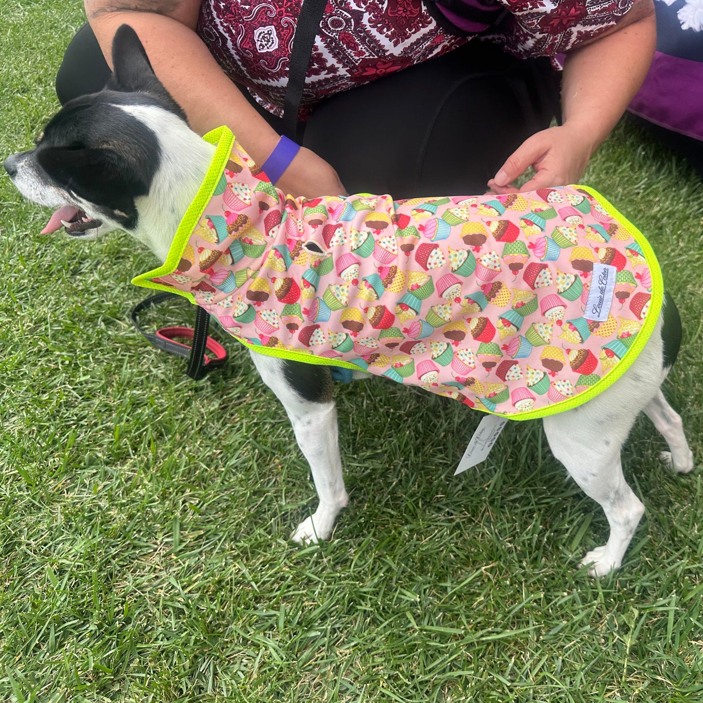 Waterproof Rain Coat - Cup Cakes