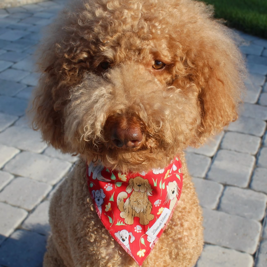 Pooch Pop Art – Dog Cartoon Bandana
