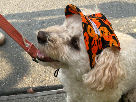 Halloween Hat – Pumpkin Patch