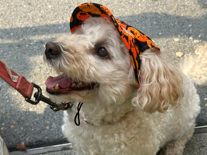 Halloween Hat – Pumpkin Patch