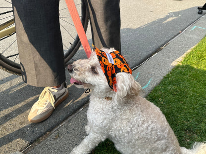 Halloween Hat – Pumpkin Patch