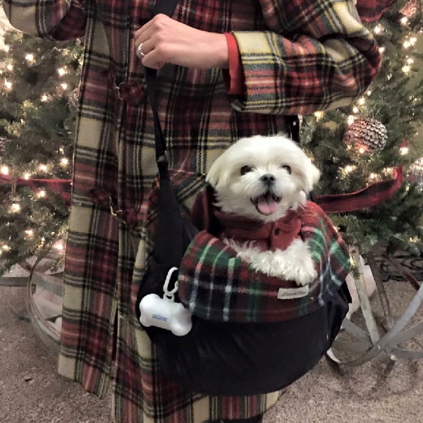 Bag Liner/Blanket - Scottish Plaid