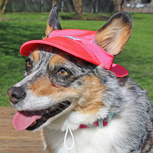 Cooling Hat with UPF50+ For Cats & Dogs - Electric Coral