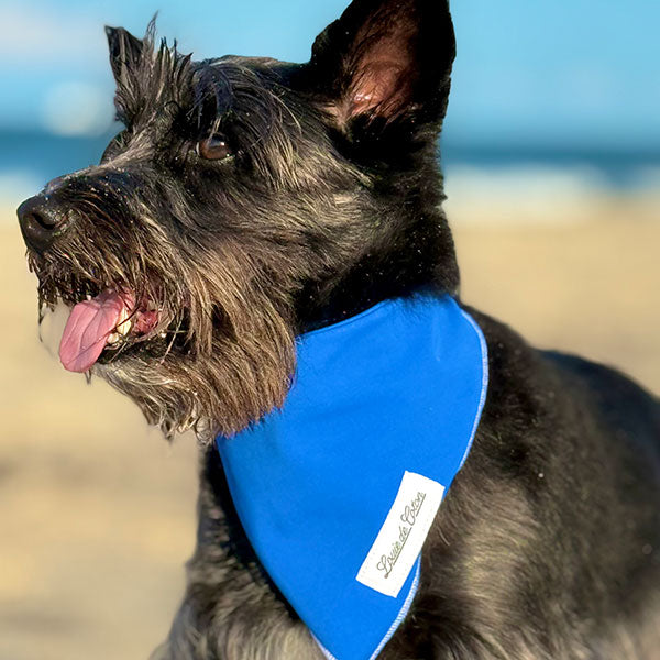 Cooling with UPF50+ Bandana - Royal Blue