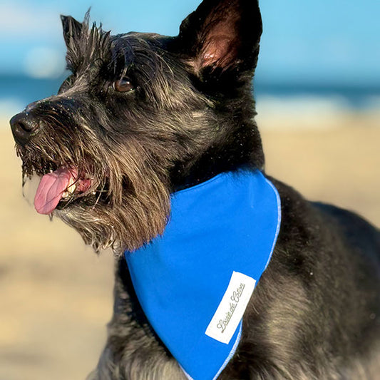 Cooling with UPF50+ Bandana - Royal Blue