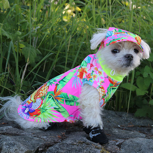 Waterproof Dog Hat - Sunset – Louie de Coton