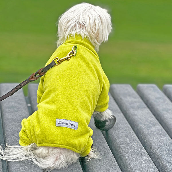 Calming Polartec® Buttery Soft Fleece Onesie For All Size Pups - Lime Green