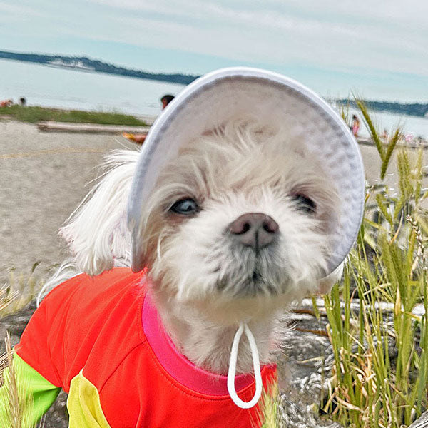 Cooling Dog with UPF50+  Full Brim Hat - Perfect White