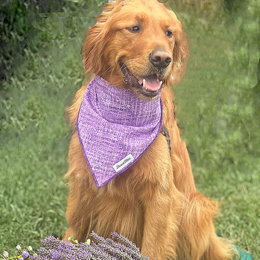 Purple Plaid Dog Cat Bandana