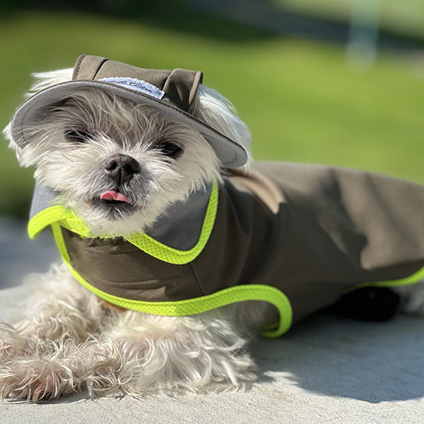 Waterproof Dog Hat - Olive