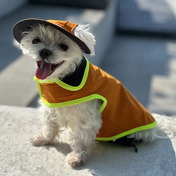 Dog 2024 rain hat