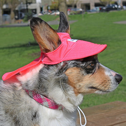 Cooling Hat with UPF50+ For Cats & Dogs - Electric Coral