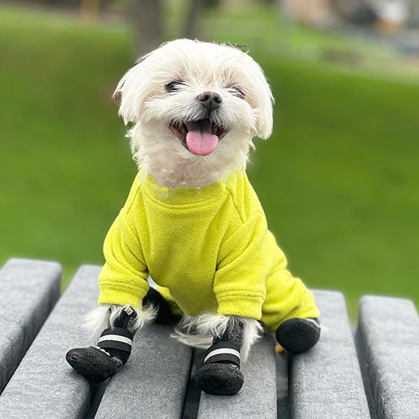 Yellow store dog hoodie