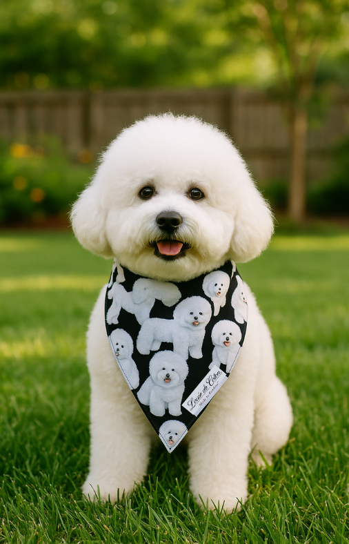 Fluffy Bichon Dog Bandana