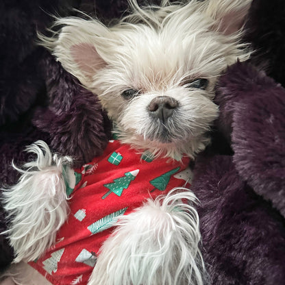 Handmade Cotton Pajamas - Festive Trees