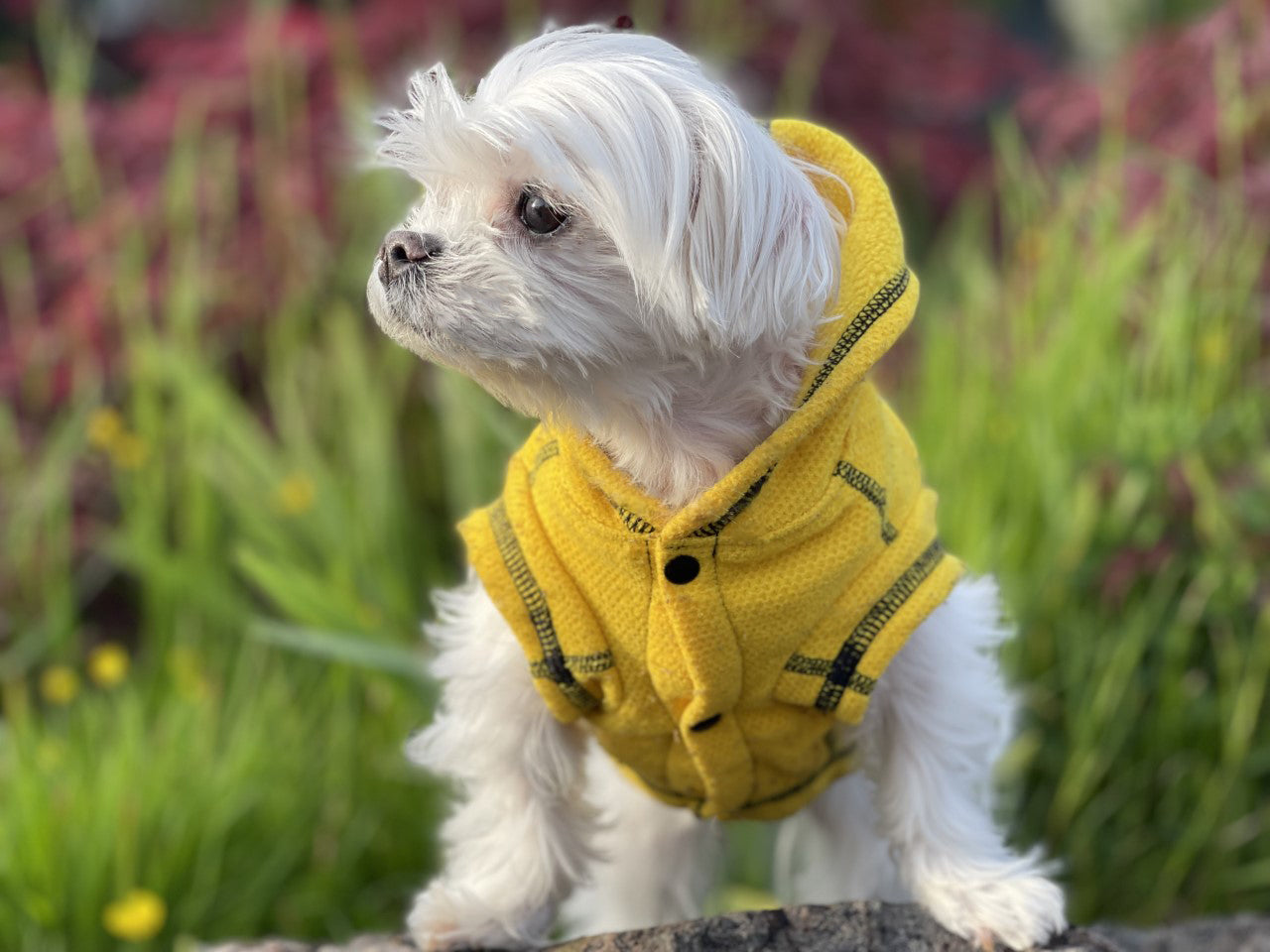 Calming Recycled Fleece Hoodie Jacket - Polartec® Thermal Pro® - Sun Flower