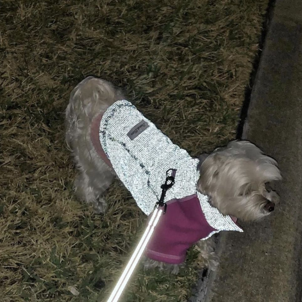 Visible Body Temperature Regulated Fleece Jacket - IllumiNITE -Pink