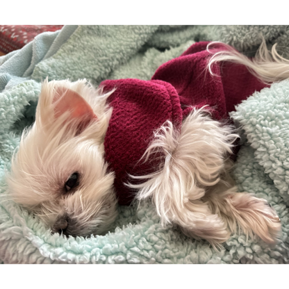 Calming Pullover Fleece Sweater For All Size Pups - Garnet