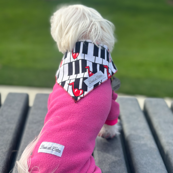 Designer Dream – Love Melody