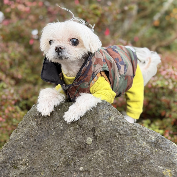 Insulated Reversible Puffer Jacket - PrimaLoft® & 3M™ reflective -Green Camo/Black