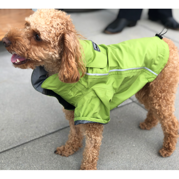 Limited-Edition Ultimate Pacific Northwest Rain Jacket - 3M® reflective