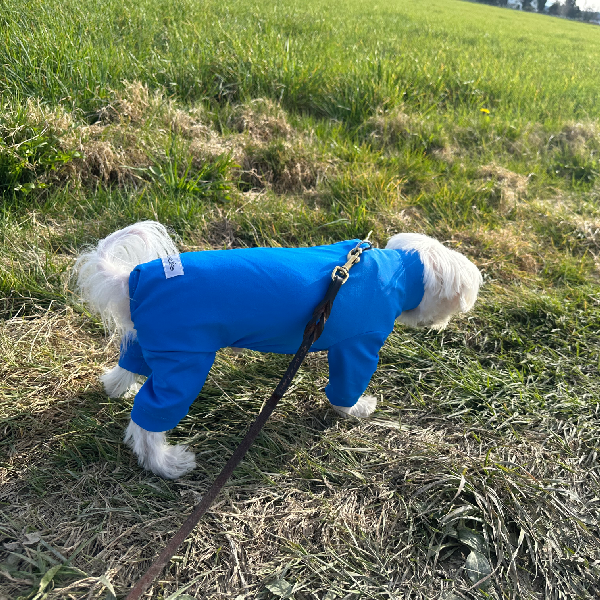 Calming Cooling UPF 50+ Sun Onesie - Ocean