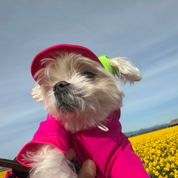 Calming Cooling UPF 50+ Sun Onesie - Orchid