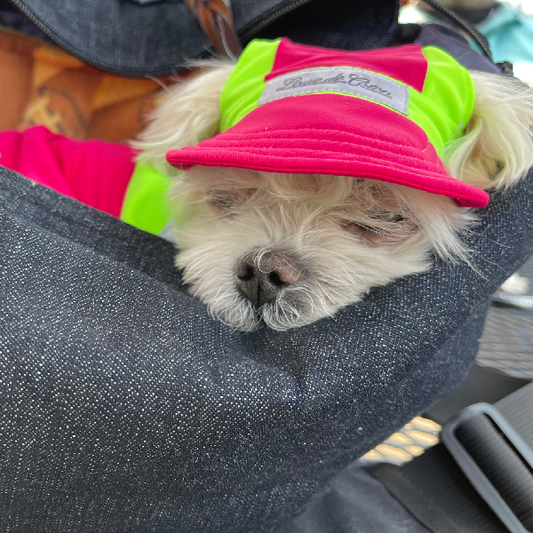 Cooling Dog Hat with UPF50+  - Buble Gum