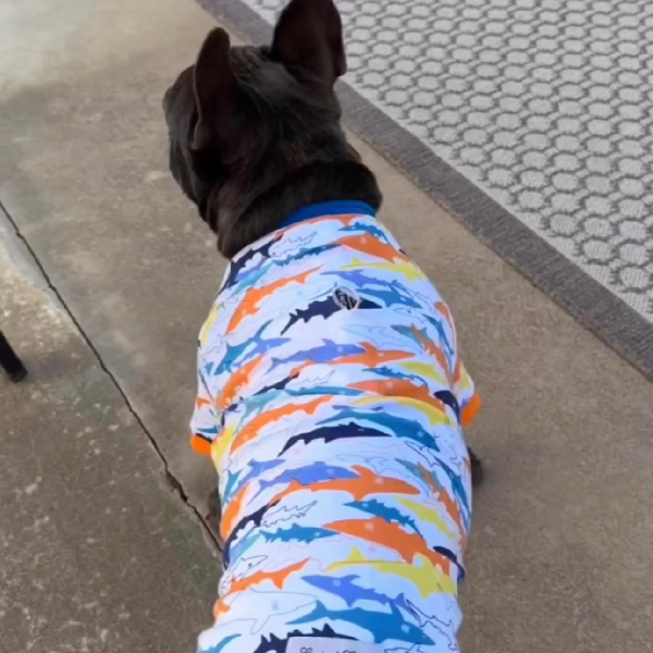 Soft Cotton Shirts - Sharks