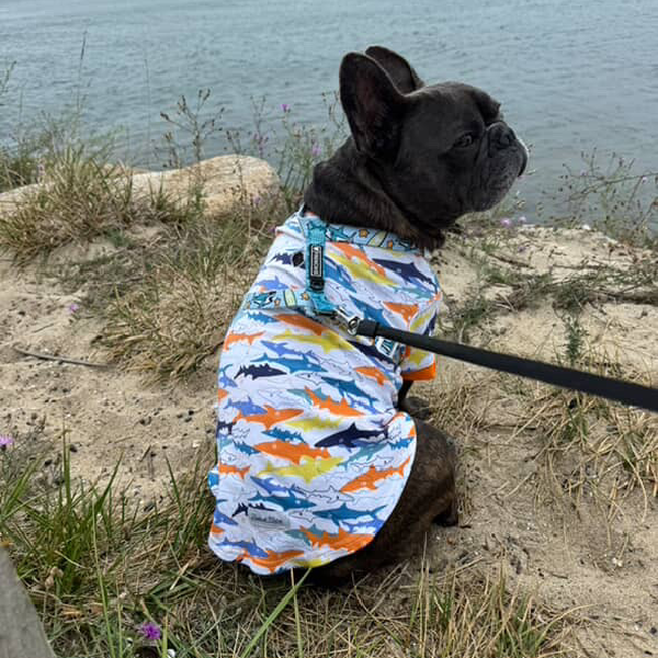 Soft Cotton Shirts - Sharks