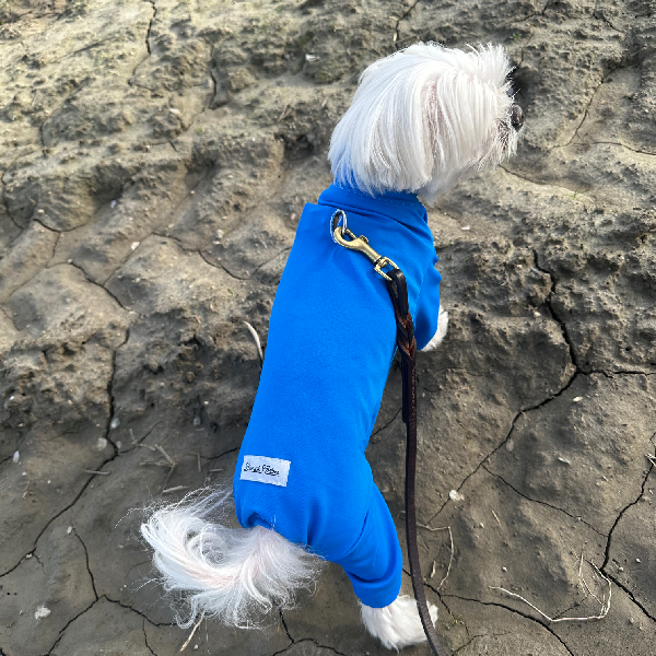 Calming Cooling UPF 50+ Sun Onesie - Ocean