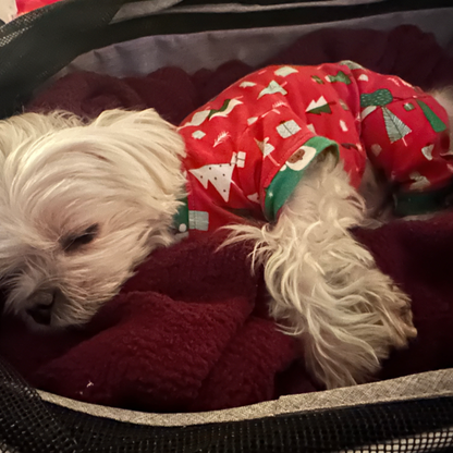 Handmade Cotton Pajamas - Festive Trees