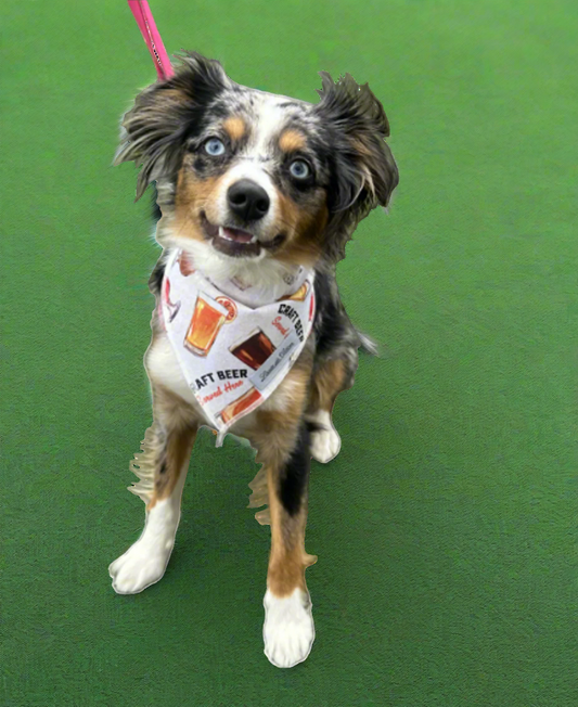 Barkside Brews – Beer Bandana
